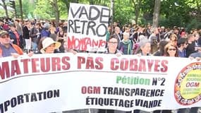 OGM: des milliers de manifestants défilent contre Monsanto