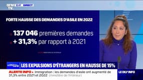 +31,3%: la France enregistre une forte hausse des demandes d'asile en 2022