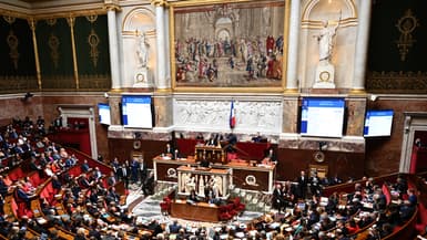 L'Assemblée nationale, à Paris, le 20 mars.