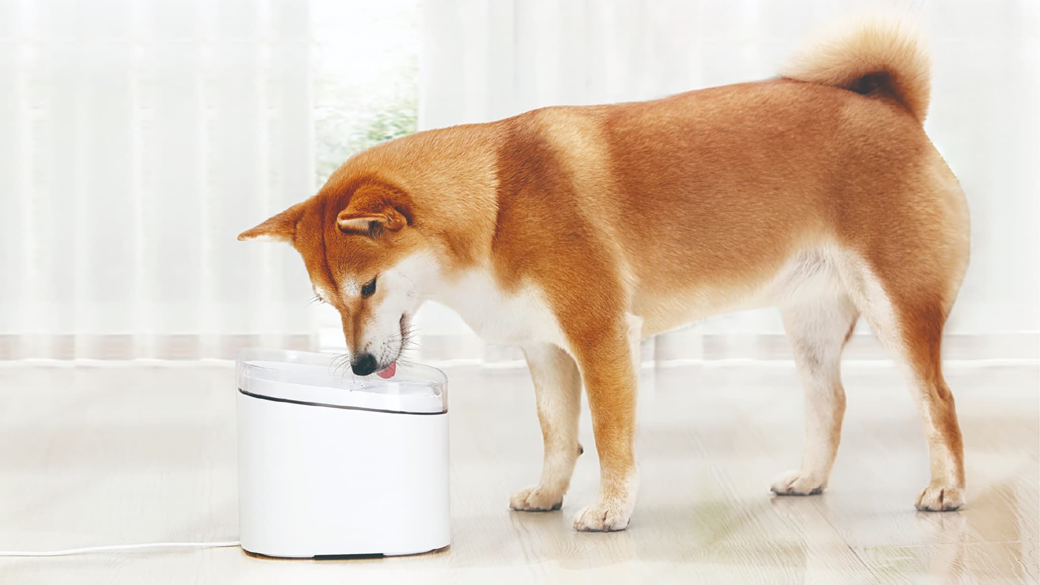 Xiaomi Smart Pet Fountain Xiaomi Smart Pet Fountain