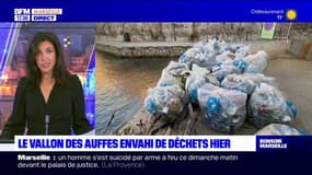 Marseille: le vallon des Auffes envahi de déchets