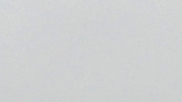 Un avion de l'armée de l'air indienne vient de disparaître avec 29 personnes à bord