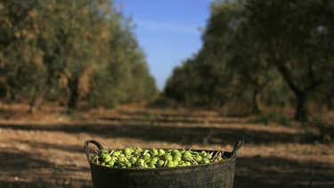La France, l'Italie et l'Espagne sont convenues mardi de maintenir la stabilité du budget de la Politique agricole commune (PAC) après 2013 lors des négociations sur le cadre financier pluriannuel de l'Union européenne. /Photo prise le 24 septembre 2012/R