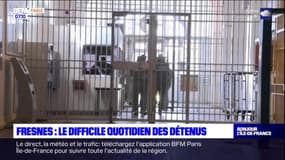 Cafards, punaises de lit.... Les détenus de Fresnes dénoncent des conditions d'hygiène déplorables