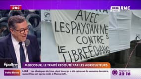 Mercosur, le traité redouté par les agriculteurs 