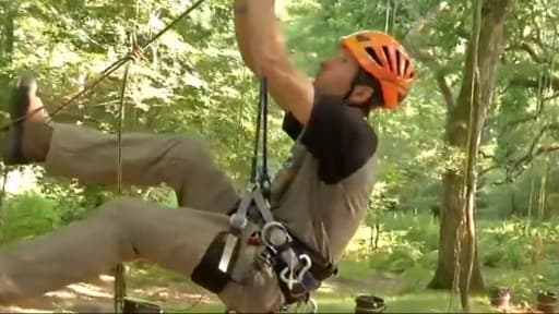 A Balizac, en Gironde, les touristes de passage peuvent s’essayer à l’accro-aventure