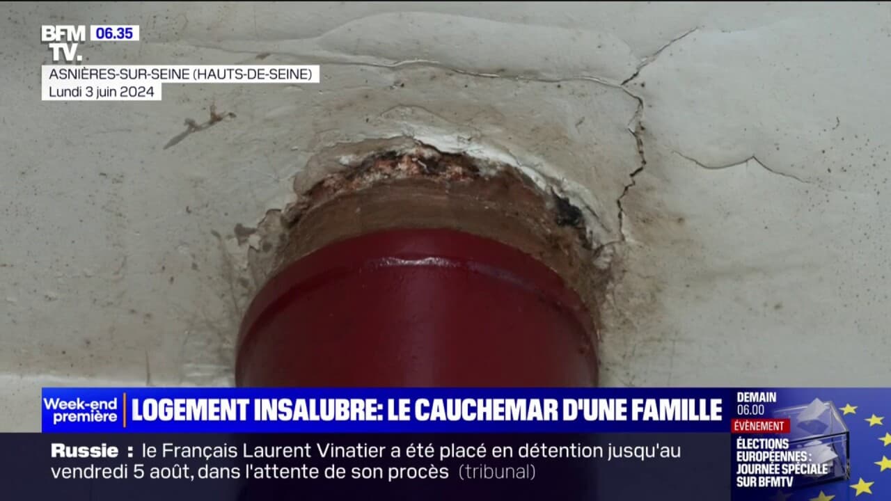 Moisissure, humidité... Le cauchemar d
