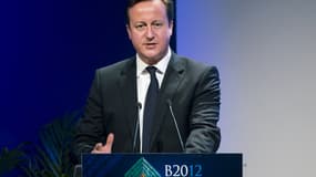 David Cameron, le Premier ministre britannique