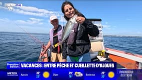 C'est vos vacances : Entre pêche et cueillette d'algues - 02/08