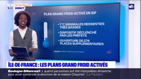 Ile-de-France: les plans grand froid activés