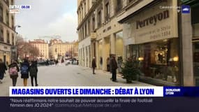 Magasins ouverts le dimanche à Lyon: l'opposition dénonce la réduction du nombre de dimanches autorités