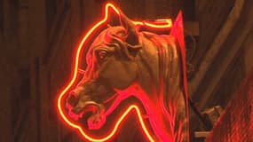 La consommation de viande de cheval est un tabou en Grande-Bretatgne depuis longtemps.