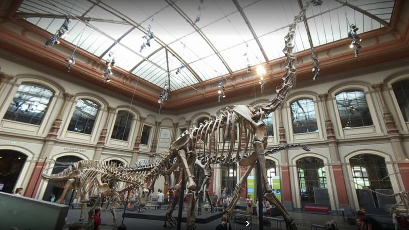 Berlin: deux militantes écologistes se collent à un poteau dans une exposition de dinosaure