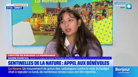 L'invitée de Bonjour la Normandie du mercredi 12 novembre 2025 - Naomie Maréchal