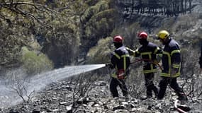 Des pompiers en train d'éteindre un incendie dans les Pyrénées-Orientales