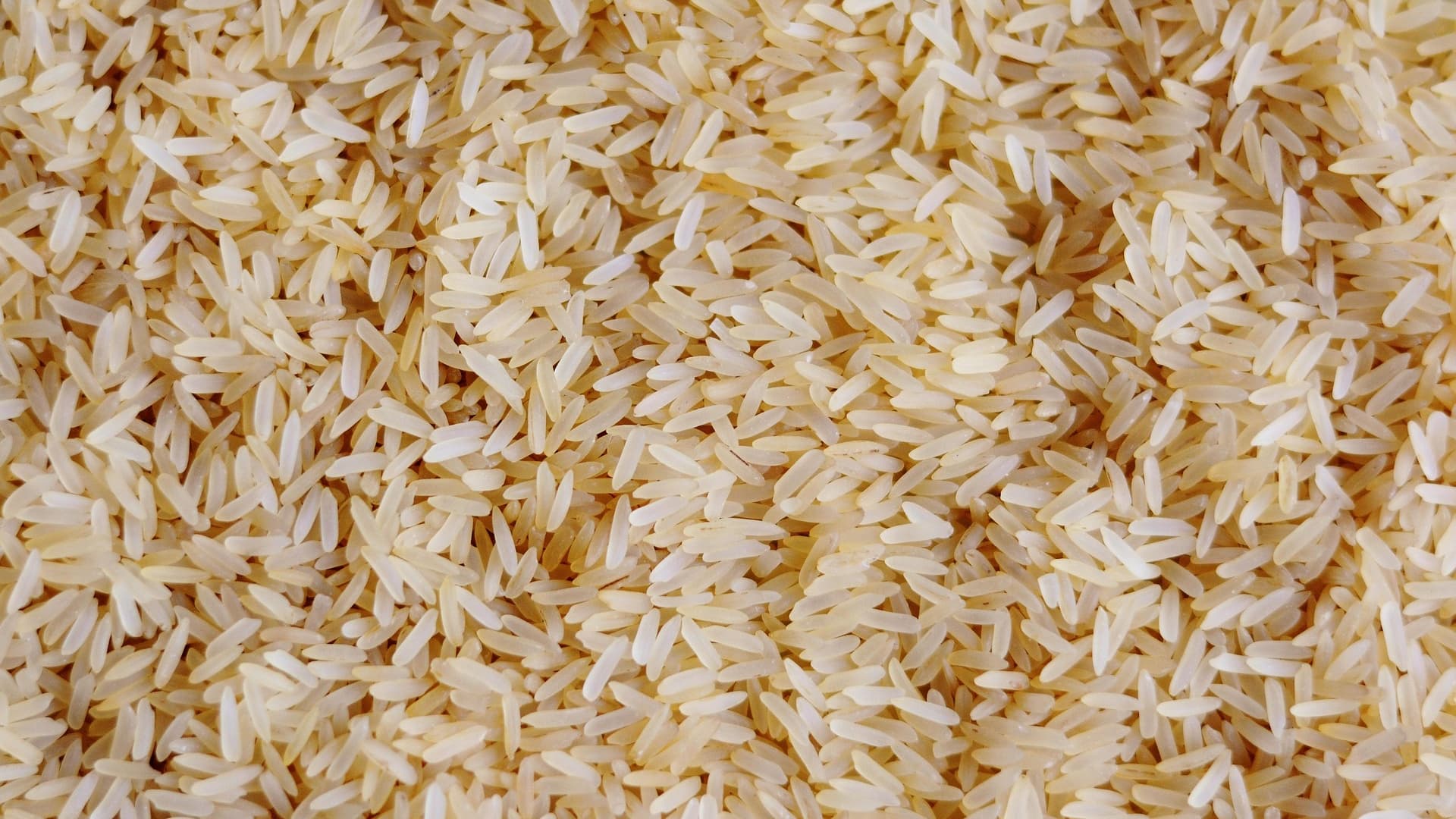 L'ACCORD ENTRE L'UE ET L'INDE COINCE À CAUSE DU RIZ BASMATI: DELHI VEUT L'EXCLUSIVITÉ EN EUROPE POUR CHASSER LE PAKISTAN
