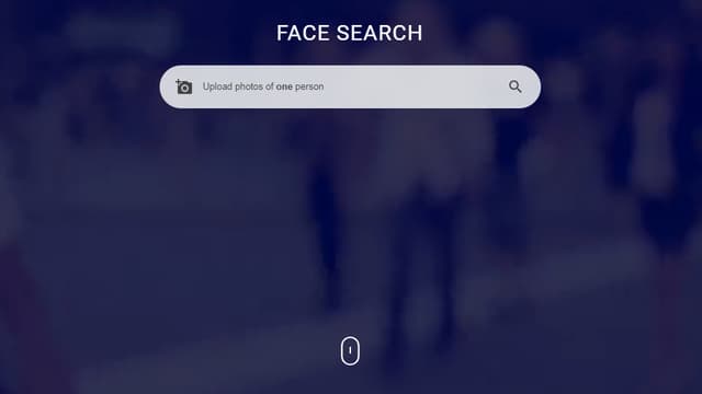Ce site polonais permet de retrouver toutes les photos de soi ou d'un internaute publiées en ligne.