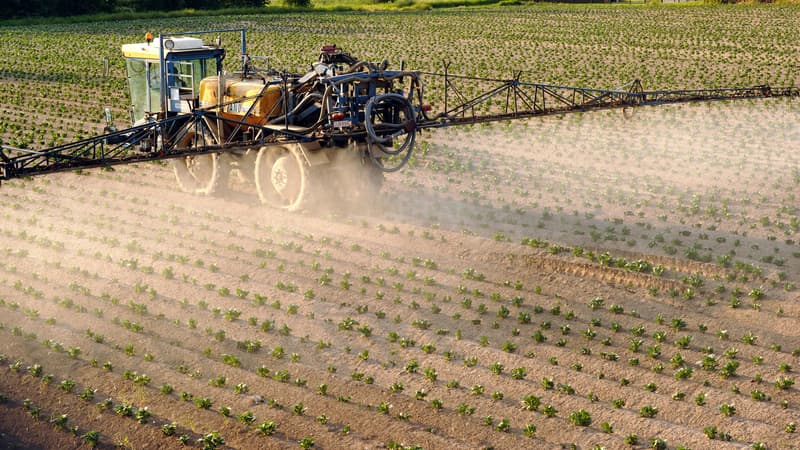 Alors que s’ouvre ce mercredi le salon international de l’élevage à Rennes (le Space), plusieurs associations de victimes des pesticides tirent la sonnette d’alarme (illustration)