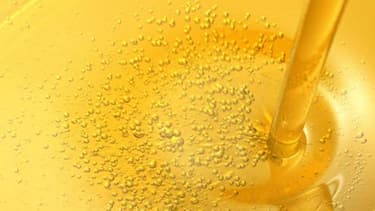 Greenea courtier en biocarburants obtient le prix Energy Risk dans la catégorie "Commodity Rankings". La jeune entreprise française est spécialisée dans les huiles alimentaires usagées, les graisses animales et le biodiesel produit à partir de déchets.