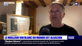 L'Alsacien Xavier Muller décroche le titre de meilleur vin blanc du monde