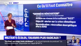 Qui sont ces nouveaux militants écologistes aux modes d'action polémiques ?