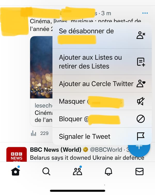 icon at the top right of the publication