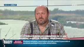Grégoire Loïs sur le plateau de RMC le 03/06/2019