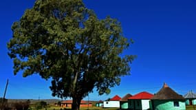 Le village de Mqhekezweni, dans la province du Cap oriental, où Nelson Mandela a passé une partie de sa jeunesse, en 2013