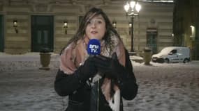 Montpellier sous la neige: les trafics routier et aérien perturbés