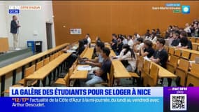 "On cherche le mouton à cinq pattes à chaque rentrée": la galère des étudiants pour se loger à Nice
