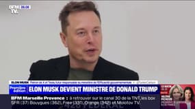 Donald Trump à la Maison Blanche: Elon Musk hérite d'un ministère, celui de l'"efficacité gouvernementale"