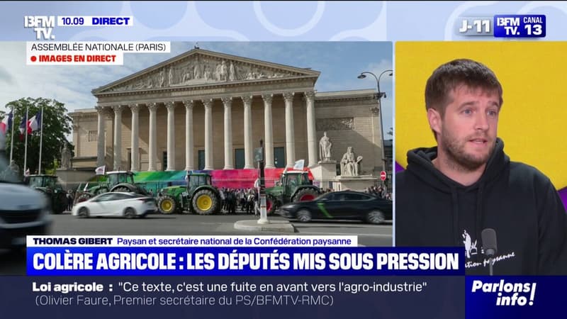 Loi Duplomb: pour Thomas Gibert (Confédération paysanne), cette loi ne va 