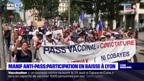 Manifestation anti-pass sanitaire: la préfecture enregistre une participation en baisse