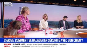 SIGNÉ BFM - Comment se balader en sécurité avec son chien en forêt alors que la saison de la chasse est ouverte? 