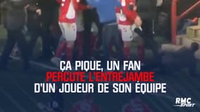 Ça pique, un fan percute l'entrejambe d'un joueur de son équipe en fêtant un but