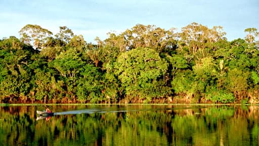 Rio Urubu, en Amazonie.