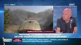 Qu'est-ce que les SDHI, ces fongicides pointés par des scientifiques? 