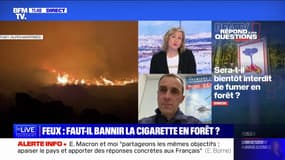 Sera-t-il bientôt interdit de fumer en forêt? BFMTV répond à vos questions