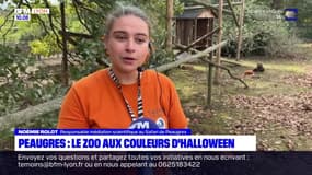 Safari de Peaugres: le zoo aux couleurs d'Halloween