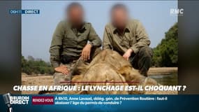 Chasse en Afrique: le lynchage sur les réseaux sociaux est-il choquant ? Ça fait débat sur RMC