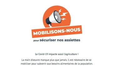 La plateforme Wizifarm a enregistré 207.000 inscriptions