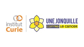 L'opération "une Jonquille contre le Cancer" de l'Institut Curie en partenariat avec le groupe RMC-BFM
