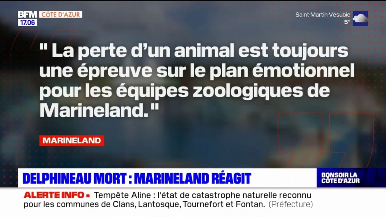 "La perte d'un animal est toujours une épreuve": Marineland réagit à la