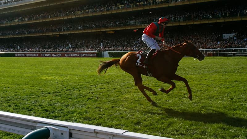 Les 5 000 entrées du Prix de l'Arc de Triomphe seront réservées aux professionnels des courses