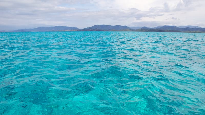 Selon l'organisation non-gouvernementale WWF, les océans de Mélanésie "valent" 548 milliards de dollars. (image d'illustration) 