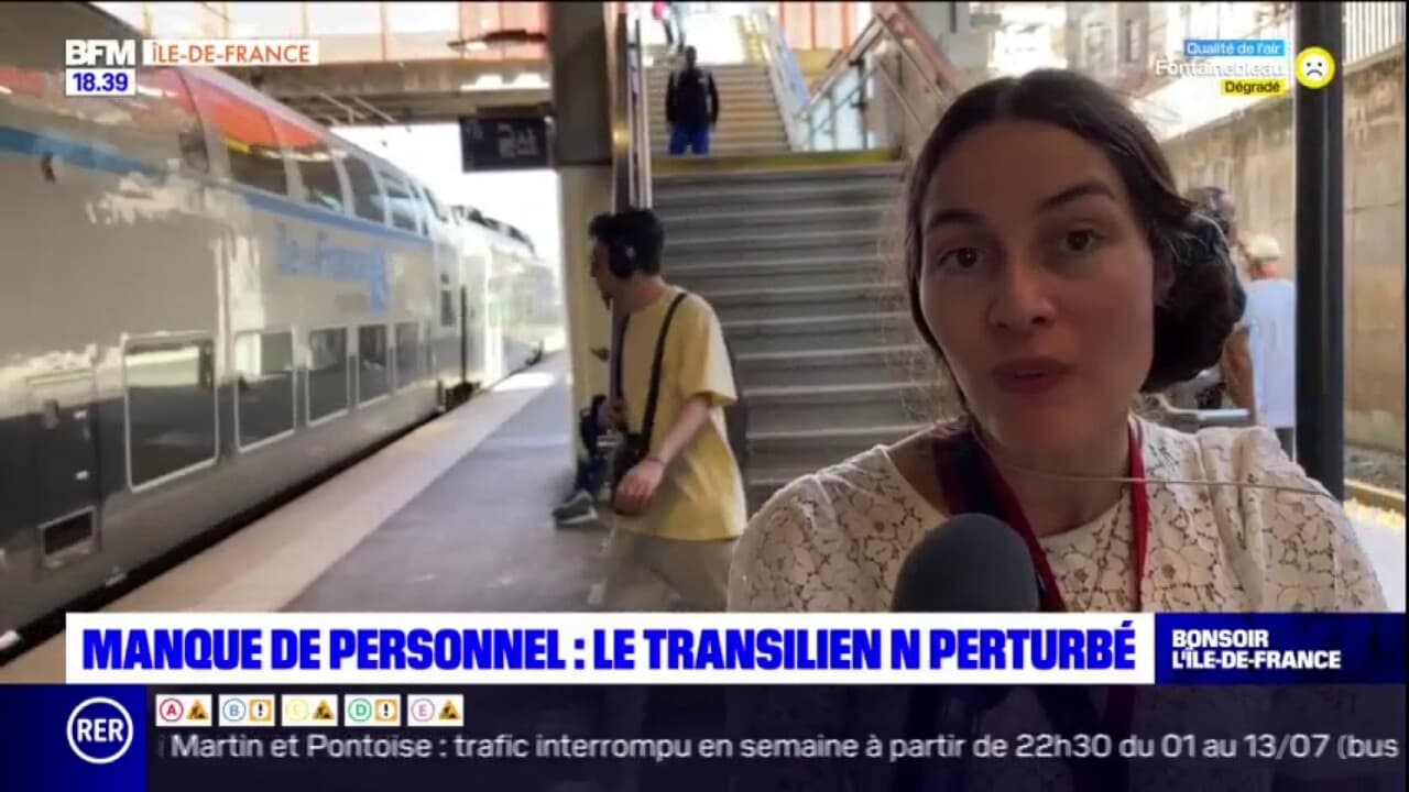 Île-de-France: Des Perturbations Sur La Ligne N Du Transilien Dès Mercredi