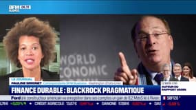 Finance durable : BlackRock appelle à être pragmatique