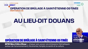 Alpes-Maritimes: une opération de brûlage à Saint-Etienne-de-Tinée