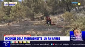 Incendie de la Montagnette: "la situation a évolué" en un an sur place