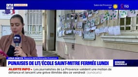 Punaises de lit: l'école Saint-Mitre de Marseille fermée lundi